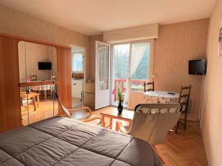 Charmant T1 Bis à Cambo-les-Bains avec balcon, ascenseur et parking - FR-1-495-31 - Cambo-les-Bains - 5