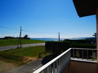 Quiberon : Studio 4 pers, balcon, animaux admis, parking - FR-1-478-145 - Quiberon - 1