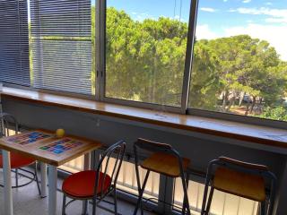Bel appartement lumineux avec balcon, proche des Thermes et commerces, animaux admis - FR-1-503-62 - Balaruc-les-Bains - 9