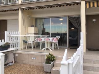 Appartement cosy avec jardinet privé à 5 min des Thermes - FR-1-503-74 - Balaruc-les-Bains - 1