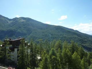 Appartement cosy 6 pers avec balcon, accès direct aux pistes - FR-1-322-371 - Les Orres - 2