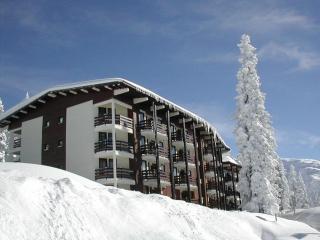 Studio refait à neuf avec balcon, garage et accès direct aux pistes, proche commerces et services - FR-1-398-623 - Montvalezan - 2