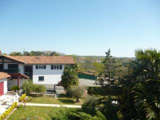 Studio lumineux à Cambo-les-Bains, proche thermes, coin nuit, kitchenette, internet, animaux acceptés - FR-1-495-10 - Cambo-les-Bains - 1