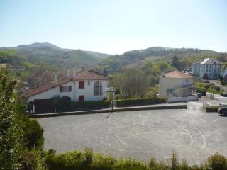 Studio lumineux à Cambo-les-Bains, proche thermes, coin nuit, kitchenette, internet, animaux acceptés - FR-1-495-10 - Cambo-les-Bains - 1