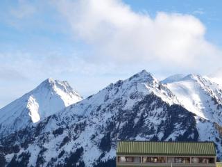 Charmant T2 pour 6 pers. avec balcon sud, proche pistes à Saint-Lary-Soulan - FR-1-457-280 - Saint-Lary-Soulan - 6