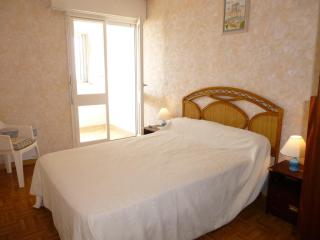 Appartement 2 pièces, balcon, parking, animaux admis, plage à pied - FR-1-224C-58 - 1