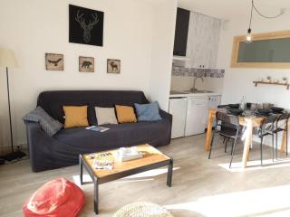Charmant T2 pour 6 pers. avec balcon sud, proche pistes à Saint-Lary-Soulan - FR-1-457-280 - Saint-Lary-Soulan - 0