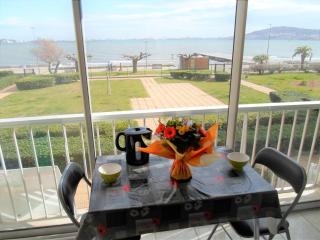 Appartement climatisé avec balcon, proche des Thermes et de l'Étang de Thau - FR-1-503-57 - Balaruc-les-Bains - 9