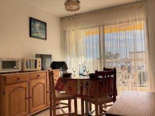 Studio cosy proche Thermes avec WiFi et animaux admis - FR-1-503-21 - Balaruc-les-Bains - 8