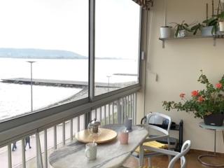Bel appartement lumineux avec balcon, proche Thermes, 1 chambre, animaux admis, WIFI - FR-1-503-72 - Balaruc-les-Bains - 3