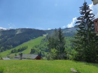 Bel appartement 2 pièces à Méribel, terrasse, proche pistes, 5 pers, WiFi - FR-1-411-613 - Les Allues - 7