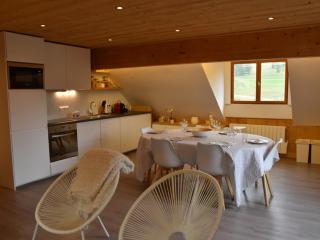 Superbe appart 3 pièces, cuisine équipée, Wi-Fi, face aux pistes - FR-1-266-167 - Montgenèvre - 2