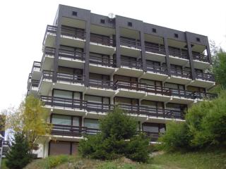 Studio cosy 4 personnes proche commerces et pistes, animaux acceptés - FR-1-411-641 - Peisey-Nancroix - 8