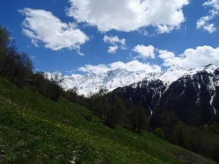 Studio cosy 4 personnes proche commerces et pistes, animaux acceptés - FR-1-411-641 - Peisey-Nancroix - 7