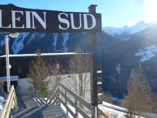 Studio cosy 4 personnes proche commerces et pistes, animaux acceptés - FR-1-411-641 - Peisey-Nancroix - 1