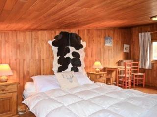Duplex 65m² face aux pistes, balcon plein sud, 2 chambres, tout équipé, ascenseur - FR-1-266-157 - Monginevro - 4