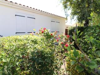 Maison de plain-pied avec jardin clos, proche de la plage et des commerces - FR-1-494-58 - Saint-Georges-de-Didonne - 3