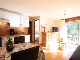 Appartement T3 pour 4 pers. à Saint Lary Village, proche centre et téléphérique - FR-1-296-304 - Saint-Lary-Soulan - 9