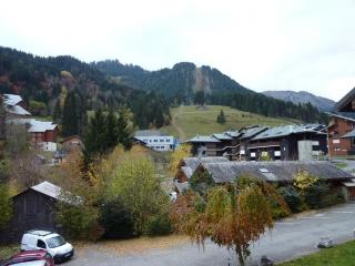 Duplex cozy 3 pièces, proche des pistes avec piscine et parking - FR-1-573-27 - Saint-Jean-d'Aulps - 8