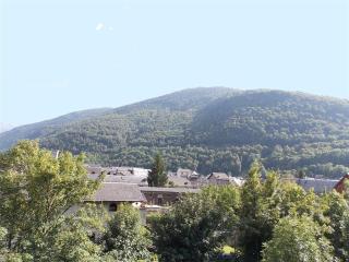 Luchon - T2 avec balcon, animaux admis, parking - FR-1-313-146 - Luchon - 6
