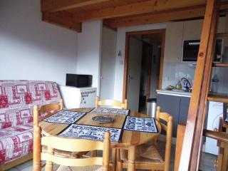 Location 2 pièces cabine mezzanine à Saint-Jean-d'Aulps, pied de pistes, parking, animaux admis - FR-1-573-29 - Saint-Jean-d'Aulps - 7