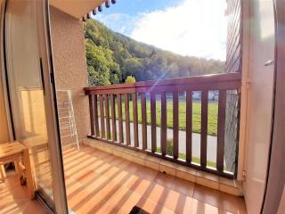 Charmant T2 à Saint-Lary-Soulan avec balcon, parking, et casier à skis - FR-1-457-269 - 2
