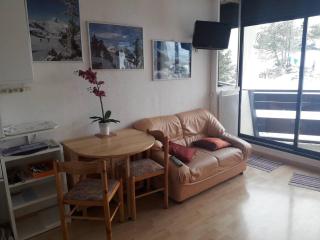 Studio 4 pers, accès direct pistes, parking gratuit - FR-1-602-50 - Arette - 3