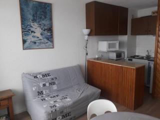Studio 4 pers, pistes, ascenseur, balcon, parking, casier skis - FR-1-602-70 - 9