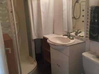 Studio 4 pers, accès direct pistes, parking gratuit - FR-1-602-50 - 3