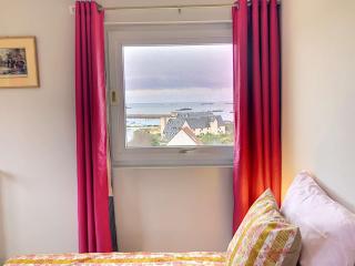Superbe maison avec jardin, proche plage, chiens admis - FR-1-542-25 - Trébeurden - 4