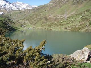 Studio cabine 5 pers, balcon, 80m pistes, animaux ok - FR-1-404-228 - 7