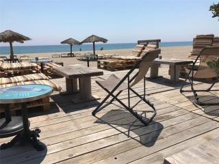 Appartement avec terrasse, 4 couchages, plage à proximité, parking - FR-1-81-536 - Port Leucate - 9
