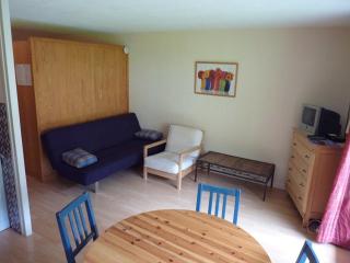 Studio spacieux au pied des pistes avec parking et balcon - FR-1-573-38 - Saint-Jean-d'Aulps - 0