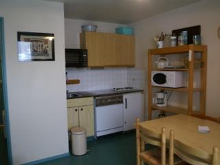 Appartement cosy 2 pièces cabine avec balcon, proche pistes, Le Pleynet - FR-1-557A-31 - La Ferrière - 0