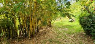 Hostel Finca La Gordita - 1