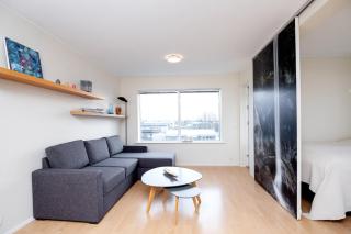 Overlooking the city, bright & cozy - Free Parking (A2) - Reykjavik - 6