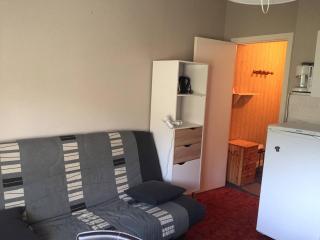 Appartement cosy à la Pierre St Martin - 4 pers, au pied des pistes, parking gratuit - FR-1-602-90 - Arette - 8