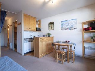 Studio pour 4 proche des pistes avec parking et animaux admis à Saint-Lary-Soulan - FR-1-296-316 - Saint-Lary-Soulan - 0