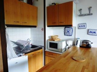 Studio 6 pers avec accès direct pistes, balcon et parking gratuit - FR-1-602-22 - Arette - 6