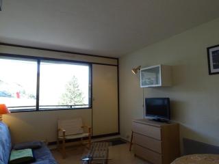 Studio pour 4 pers. à proximité des pistes avec balcon et parking - FR-1-602-55 - Arette - 7