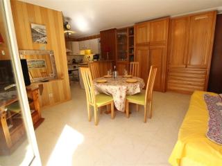 Appart. central 6/7 pers. à Bagnères-de-Luchon avec parking et animaux admis - FR-1-313-171 - Luchon - 2