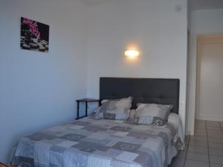 Studio climatisé avec balcon et parking, à deux pas de la plage - FR-1-225D-125 - Saint-Cyprien - 5