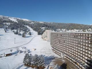 Appartement cosy proche des pistes avec parking et Wifi - FR-1-525-182 - Le Dévoluy - 8
