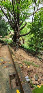 Hostel Finca La Gordita - 2