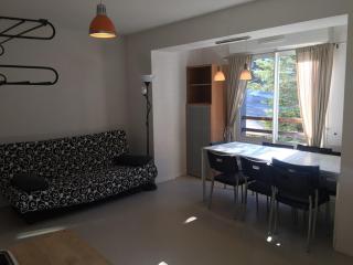 Charmant appartement au pied des pistes, pour 6 personnes avec parking et casier à skis - FR-1-602-61 - Arette - 7