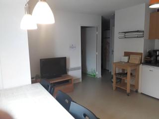 Charmant appartement au pied des pistes, pour 6 personnes avec parking et casier à skis - FR-1-602-61 - 3