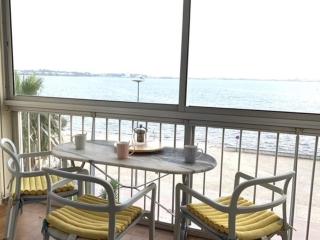 Bel appartement lumineux avec balcon, proche Thermes, 1 chambre, animaux admis, WIFI - FR-1-503-72 - Balaruc-les-Bains - 4