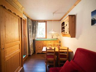 Studio divisible, balcon, animaux acceptés, casier à skis, linge de lit inclus - FR-1-291-839 - Valmorel - 1