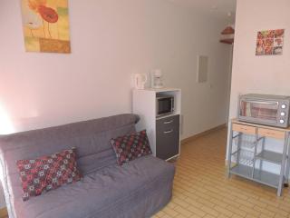 Studio avec Parking, Wi-Fi et Animaux Acceptés - Proche Étang de Thau et Thermes - FR-1-571-19 - 6
