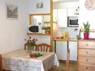 Luchon: Appartement 2 chambres proche thermes, balcon, parking, WiFi - Animaux <10kg acceptés - FR-1-313-186 - 2